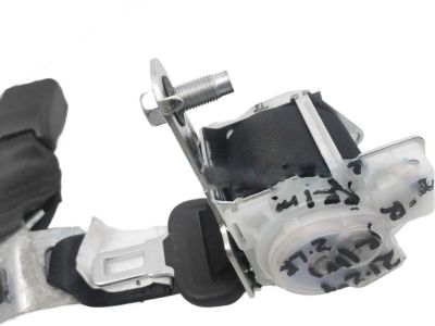 Honda 04829-TGG-A00ZA