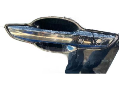 2018 Honda Civic Door Panel - 67050-TEG-J01ZZ