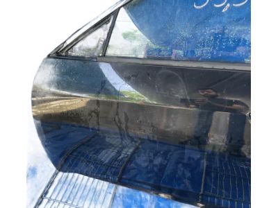 2018 Honda Civic Door Panel - 67050-TEG-J01ZZ