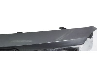 Honda 71127-TRW-A11 Lower Molding L, FR.