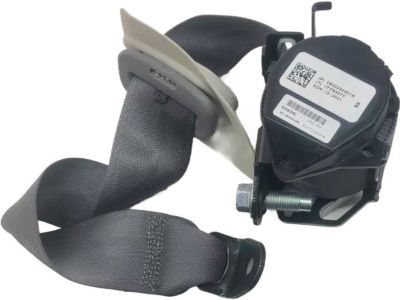 Honda 04824-T0G-A00ZH