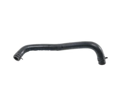 Honda 25262-59C-003 Hose, Warmer Outlet