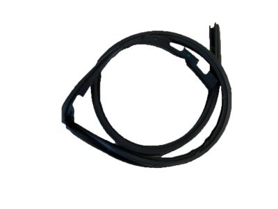 Honda Door Seal - 72325-S03-G01