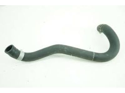 Honda Civic Radiator Hose - 19504-RRA-A01