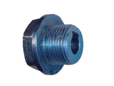 Honda 11103-P13-300 Bolt, Sealing (20MM)