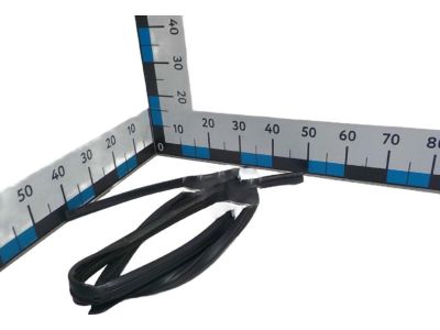 2015 Honda Pilot Window Run - 72235-SZA-A11