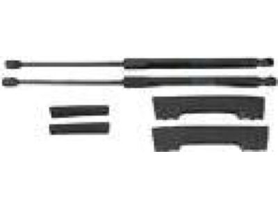 2020 Honda Civic Spoiler - 08F02-TEA-171A