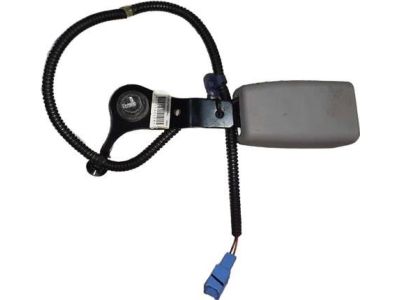 2014 Honda Accord Seat Belt Buckle - 04813-T2F-A00ZB