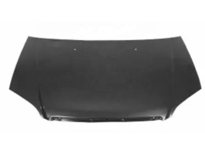 Honda 60100-S6D-A90ZZ Hood (DOT)