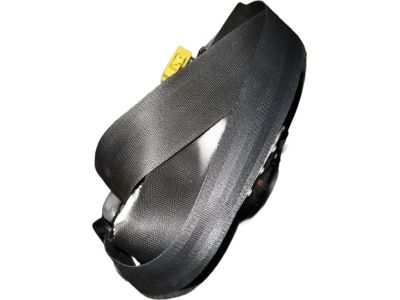 Honda 04818-S10-A03ZB