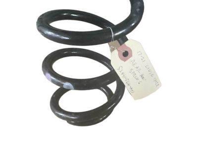 Honda 52441-TGH-A01 Spring, Rear