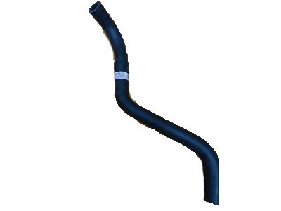 Honda 19502-PGK-A00 Hose, Water (Lower)