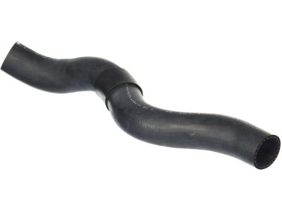 Honda 19501-RGL-A01 Hose, Water (Upper)