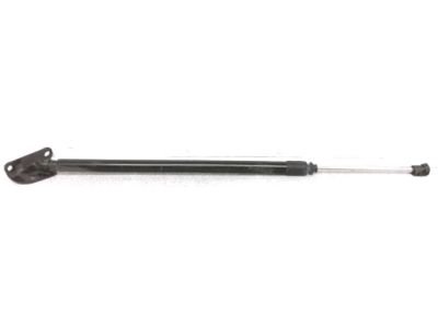 Honda Lift Support - 74820-TG7-A01