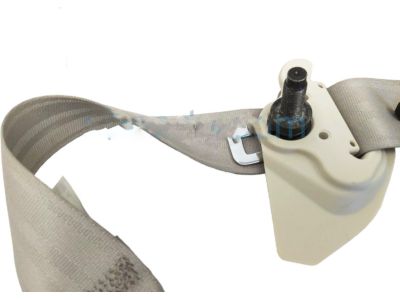 Honda 04828-T0G-A00ZB