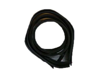 2009 Honda CR-V Weather Strip - 04731-SWA-000