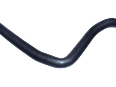 Honda 19502-PAA-A00 Hose, Water (Lower)