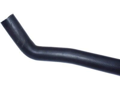 Honda 19502-PAA-A00 Hose, Water (Lower)