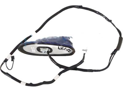Honda Accord Antenna Mast - 39150-TVA-C51ZL
