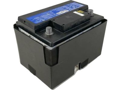 31500-TLA-A11 Honda Battery Assembly-(Ln2) Product Photo 1 of 5