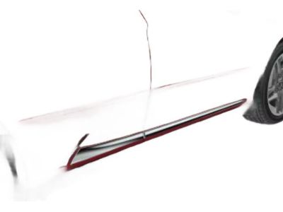 2019 Honda Clarity Plug-In Hybrid Door Moldings - 08P05-TRT-161