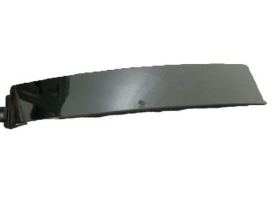 Honda Passport Door Moldings - 72430-TG7-A11