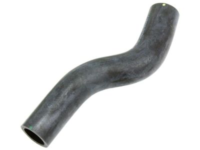 2021 Honda Accord Cooling Hose - 19501-6B2-A10