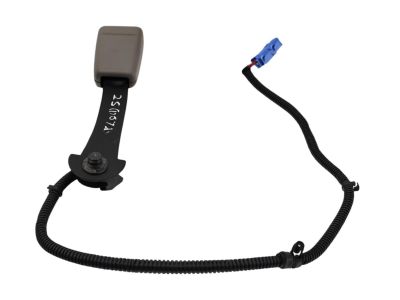 Honda 04816-TS8-A10ZB