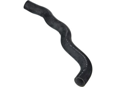 Honda Fit Cooling Hose - 19501-RME-A00