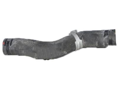 2019 Honda Accord Cooling Hose - 19501-6A1-H00