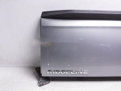 Honda 68100-T6Z-A90ZZ Tailgate (DOT)