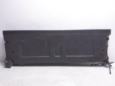 Honda 68100-T6Z-A90ZZ Tailgate (DOT)