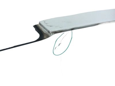 Honda 04636-TXM-A91ZZ