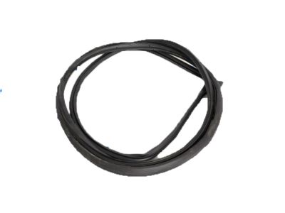 2021 Honda Accord Weather Strip - 72310-TVA-A01