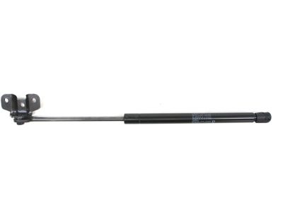 Honda Accord Lift Support - 74145-SDB-A02