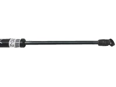 Honda Crosstour Lift Support - 74870-TP6-306