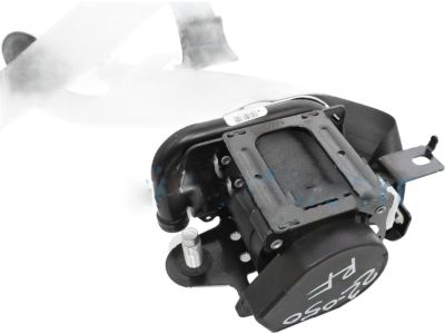 2021 Honda Accord Hybrid Seat Belt - 04814-TVA-A00ZB