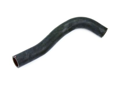 Honda Fit Radiator Hose - 19502-5R0-000