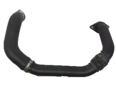 Honda 17282-5AA-A01 Hose,Intcler Inle