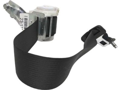 Honda 04824-TS8-A00ZB