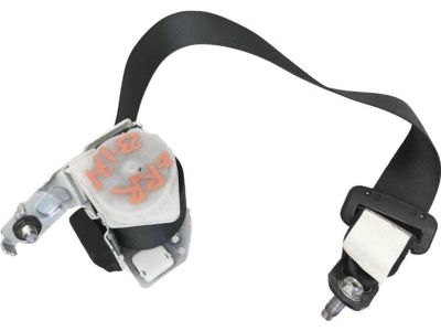 Honda 04824-TS8-A00ZB