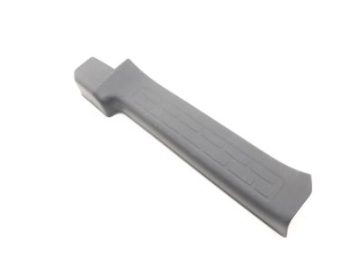 Honda 84211-T6Z-A00ZA