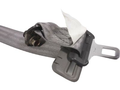 2001 Honda Accord Seat Belt - 04828-S84-A00ZE