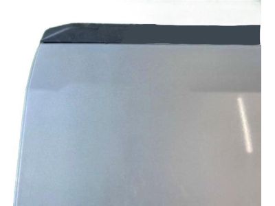 2006 Honda Ridgeline Tailgates - 68100-SJC-A91ZZ