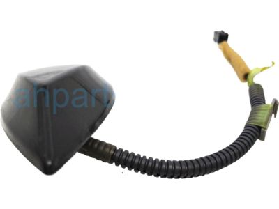 Honda Accord Antenna - 39150-T3L-A01ZE