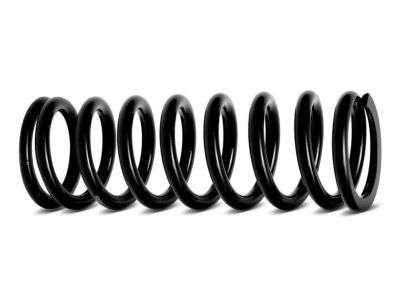 2013 Honda CR-V Coil Springs - 51401-SWW-E13