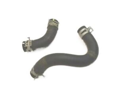 Honda 79726-TK8-A00 Hose A, Water Outlet