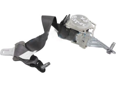 2010 Honda Accord Seat Belt - 04824-TA5-A00ZD