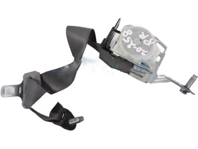 2010 Honda Accord Seat Belt - 04824-TA5-A00ZD