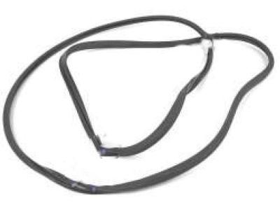 Honda 72310-T2F-A01 Weatherstrip,R.FR